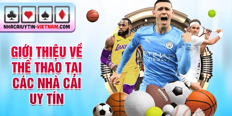 Giới thiệu về thể thao tại các nhà cái uy tín Giới thiệu về thể thao tại các nhà cái uy tín