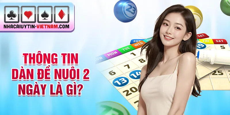 Thông tin dàn đề nuôi 2 ngày là gì? Thông tin dàn đề nuôi 2 ngày là gì?