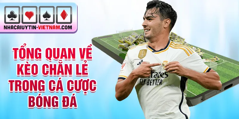 Tổng quan về kèo chẵn lẻ trong cá cược bóng đá Tổng quan về kèo chẵn lẻ trong cá cược bóng đá