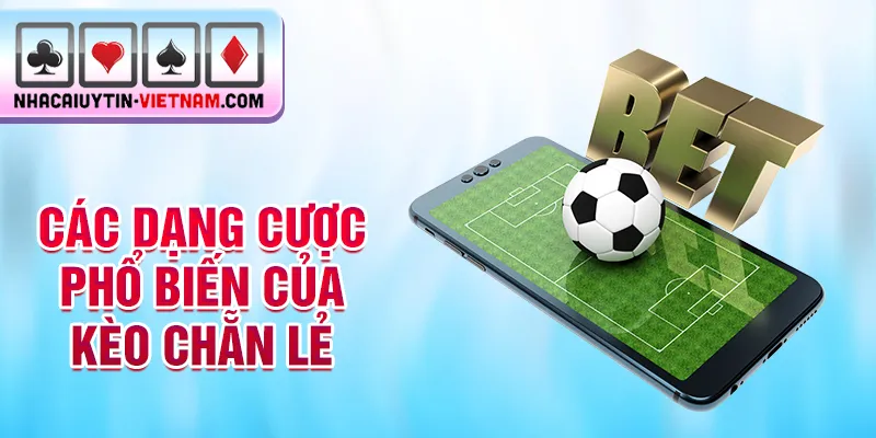 Các dạng cược phổ biến của kèo chẵn lẻ Các dạng cược phổ biến của kèo chẵn lẻ
