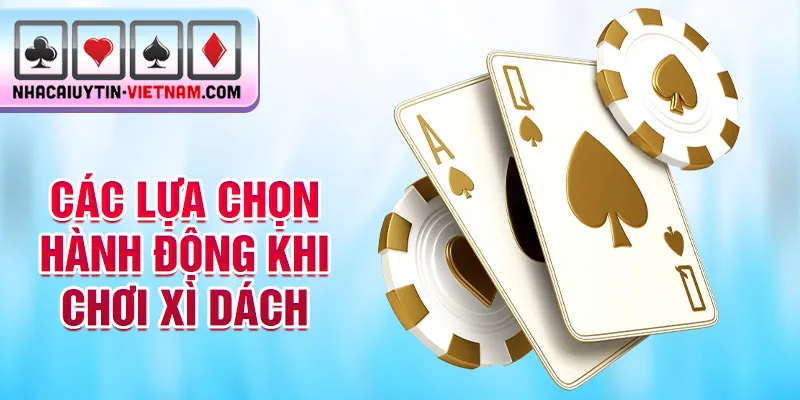 Các lựa chọn hành động khi chơi xì dách Các lựa chọn hành động khi chơi xì dách