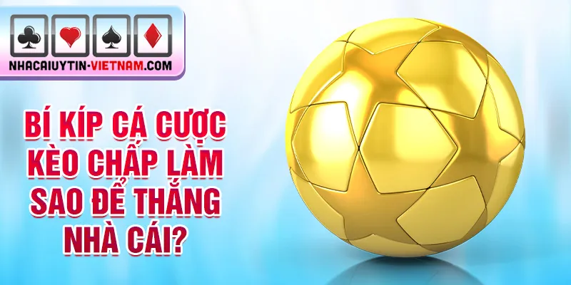 Bí kíp cá cược kèo chấp làm sao để thắng nhà cái? Bí kíp cá cược kèo chấp làm sao để thắng nhà cái?