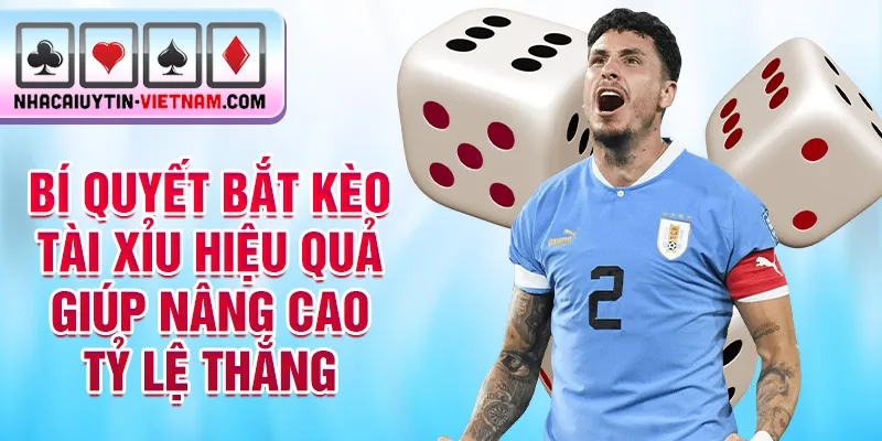 Bí quyết bắt kèo tài xỉu hiệu quả giúp nâng cao tỷ lệ thắng Bí quyết bắt kèo tài xỉu hiệu quả giúp nâng cao tỷ lệ thắng