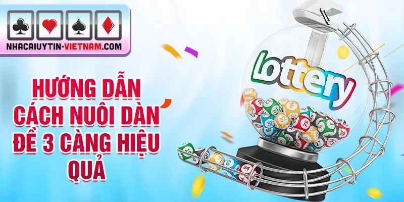 Hướng dẫn cách nuôi dàn đề 3 càng hiệu quả Hướng dẫn cách nuôi dàn đề 3 càng hiệu quả